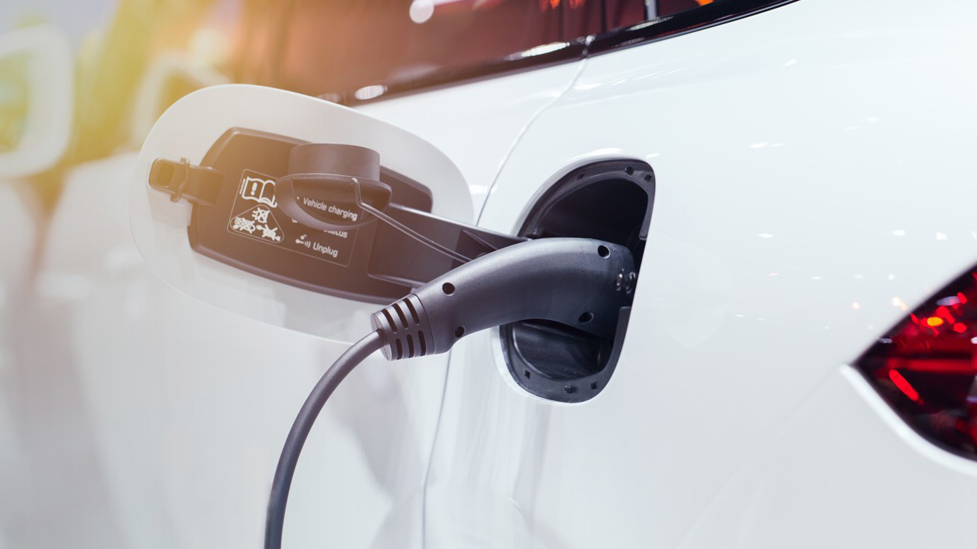 澳门十大网投官方网站